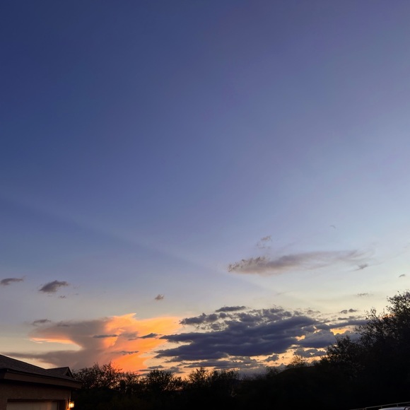 Meet your Posher, Angelia - Picture 1 of 1